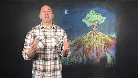 Chiro Chalk Talk 2.6 - Price vs Value