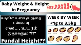 Baby Weight Height In Womb Fetal