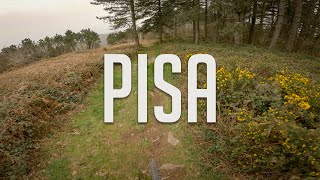 Pisa (Calci) - IntoTheWood, Zampirone, Secco | Tuscany 2024