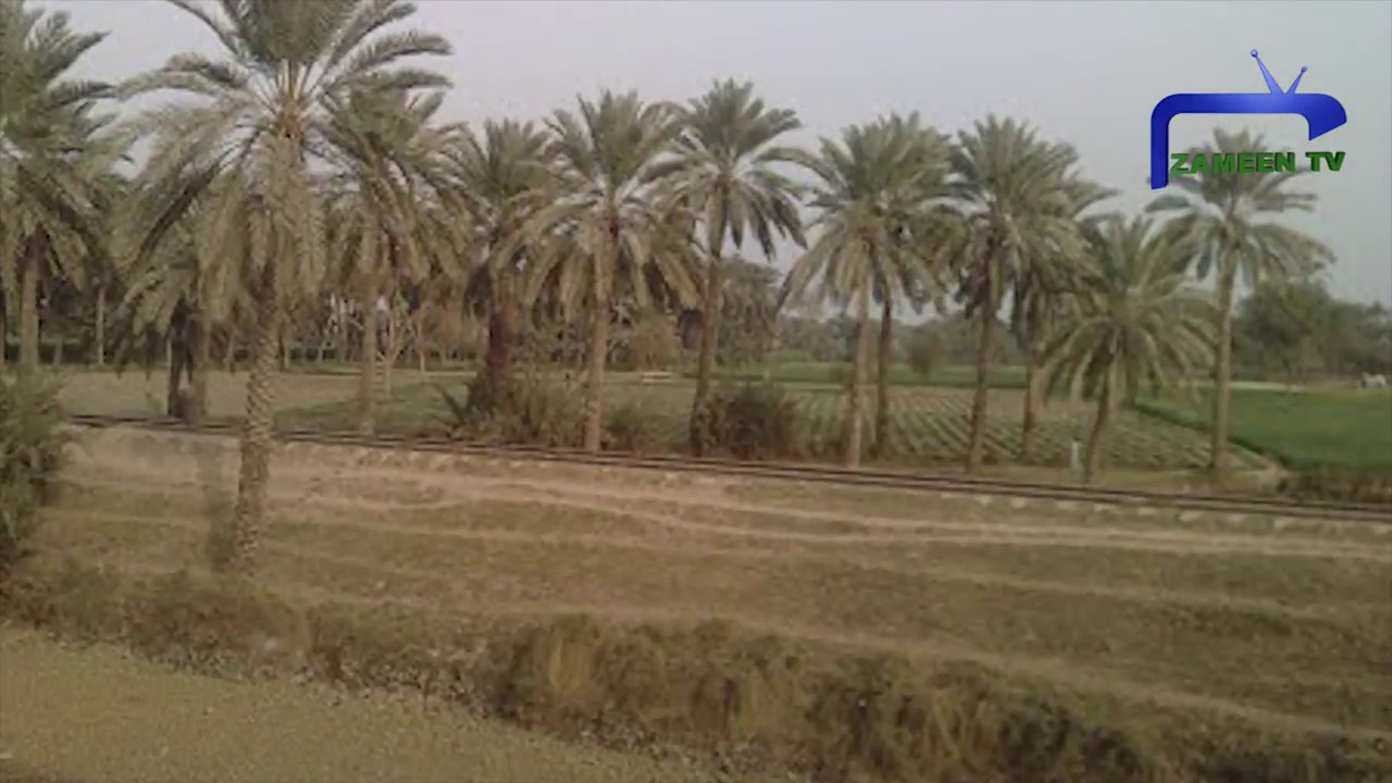 Johar Town Phase 1 YouTube