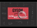 Q2m wetcoat gyeon test produit