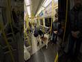 Train interactions with my dog!! #petshub #doglover #subway #train #metro #london #pets #dogshorts