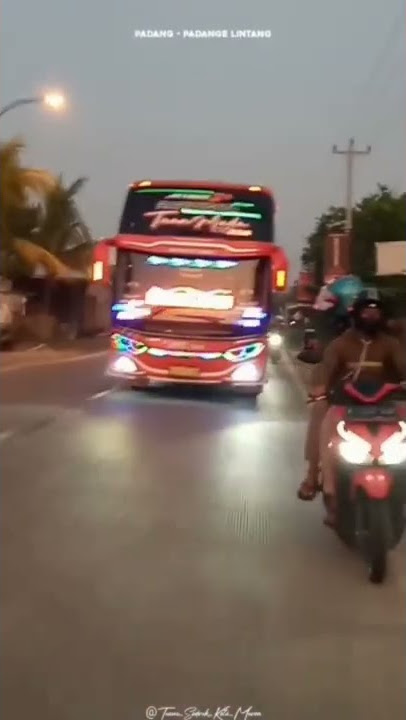 story'wa VIRAL|| 30 detik bus Tuan muda Bris trans Basuri 🐍 pakistan