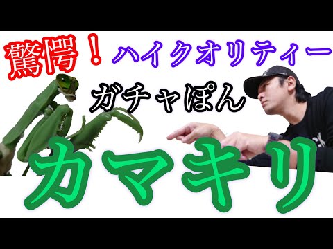 【驚愕！ハイクオリティーガチャぽん】【カマキリ】のご紹介動画です。【ガチャガチャ】開封動画 【おもちゃ好き】【フィギア】カプセルトイ