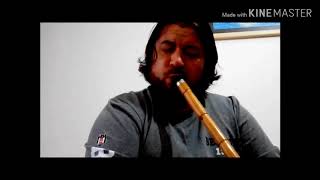 Yanlizca Si̇tem / Sezen Aksu