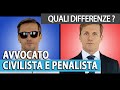 Avvocato civilista e penalista: quali differenze? | avv. Angelo Greco