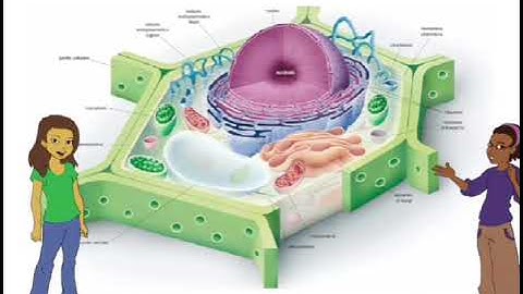 Storytelling digitale con scratch: raccontare storie facendo coding _1C_SSPG