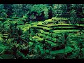 Bali indonesia cinematic ps films vlogs