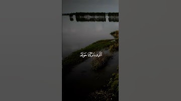 القارئ _  ياسر الدوسري #قرآن #اكسبلور #المصحف #إستمع #لايك