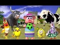 El Pollito pío 3d-el Toro y el Tractor de la Granja episode#127-el Pollito y el Tractor de la Granja