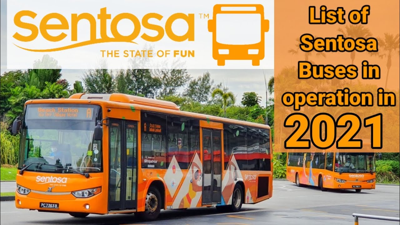 List of Sentosa Buses in operation in 2021 - YouTube