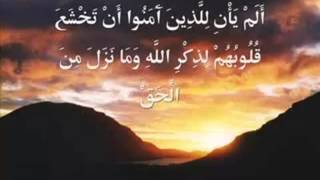 من أجمل تلاوات الشيخ ادريس ابكر تلاوة من سورة الزمر