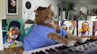 Keyboard Cat Studio Time