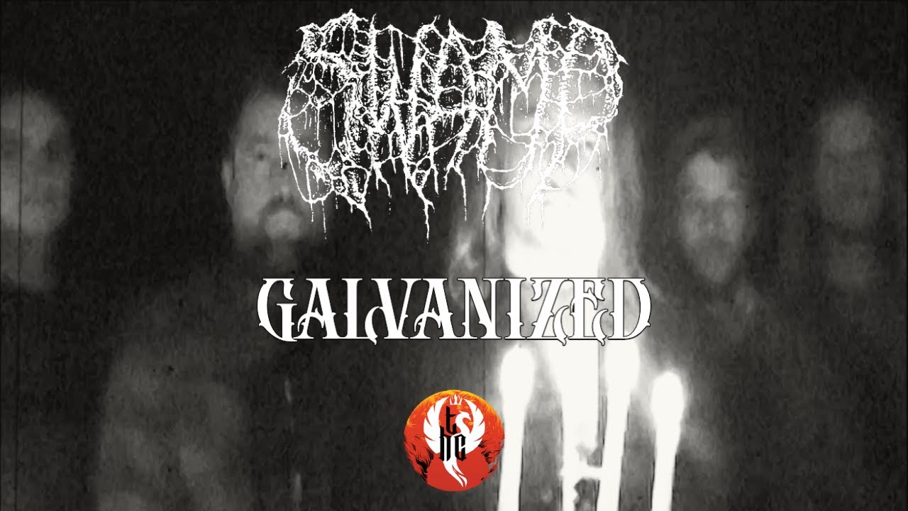 Watch SWAMP - GALVANIZED (OFFICIAL VIDEO) on YouTube Watch SWAMP - GALVANIZED (OFFICIAL VIDEO) on YouTube