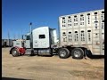 SheDaisy Come Home Soon-bull hauler