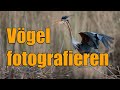 Wildlife Vogelfotografie | Behind the Scenes Vlog