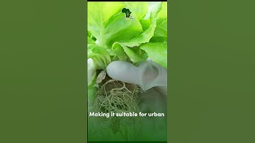 Exploring sustainable solutions in agriculture?