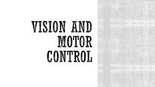 Vision and Motor Control