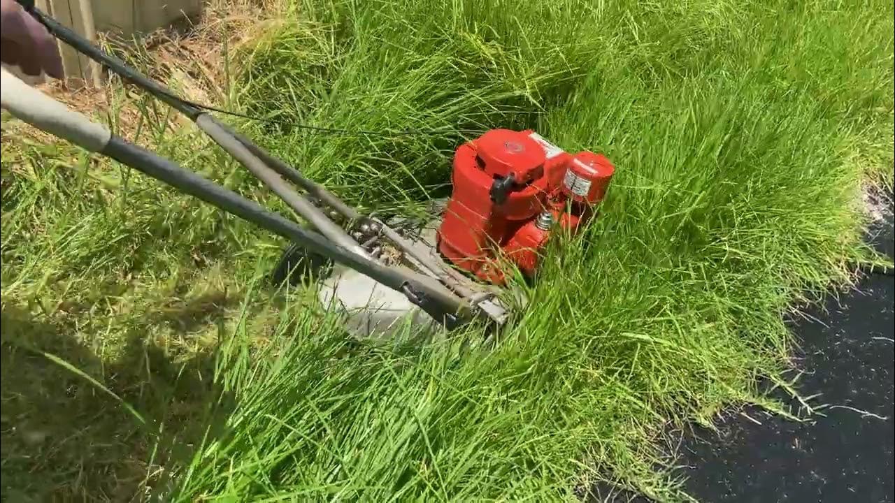 Tall grass mowing with Kavli Muncha blades YouTube
