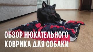 Обзор нюхательного коврика для собаки среднего размера