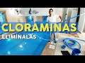 Todo sobre Cloraminas en la piscina ¿Qué son? ¿Cómo se forman? ¿Qué hacer para eliminarlas?