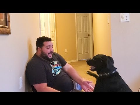 prank-on-my-dog-but-its-wholesome