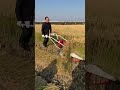 Light model reaper harvest rice. It is wonderful !