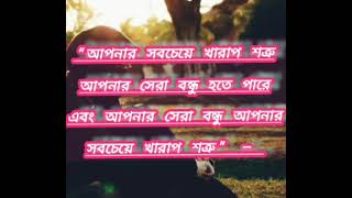 আপনার সেরা বন্ধু হতে পারে শতরু❤️||shorts1million vairal 2024 shortsvideo