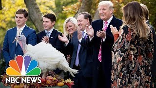 The Presidential Turkey Pardon From Reagan to Trump: An Awkward Thanksgiving Tradition | NBC News