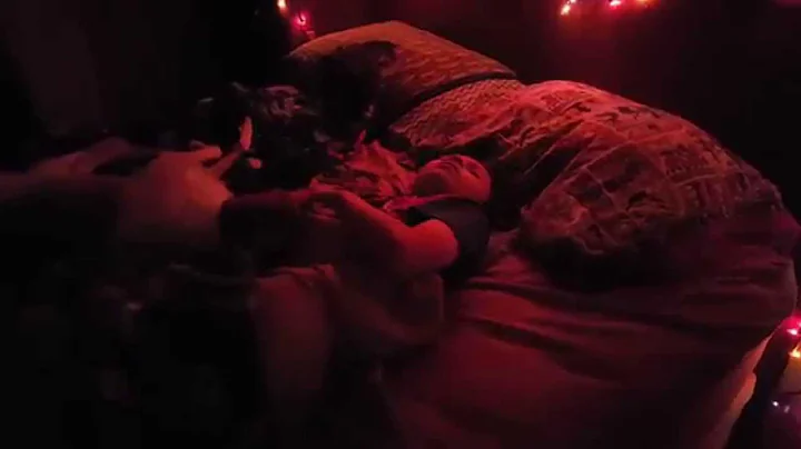 A boy and his Brittany.