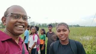 Maijan Tea State Rejina Guwala