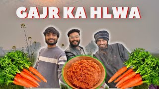 Gajar Ka Halwa Village Style Gajar Ka Halwa Traditional Winter Dessert Nature Hub