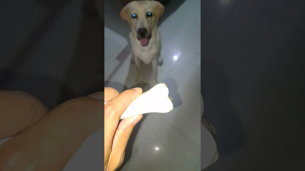 calcium bone khayegaa aaj 😄🥰