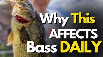 3 Types of Reservoir Current and the HUGE Impact on Bass