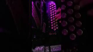 Vida Recia - D #viral #viralvideo #viralshorts #hohneranacleto #hohneraccordions #hohner