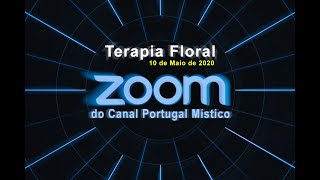 Terapia Floral 🔄 Zoom do Canal #1