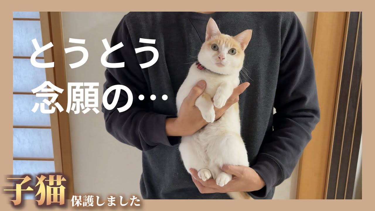 ねこゆき1125様♡おまとめありがとうございます♡ Thank you all so much for this year! - YouTube
