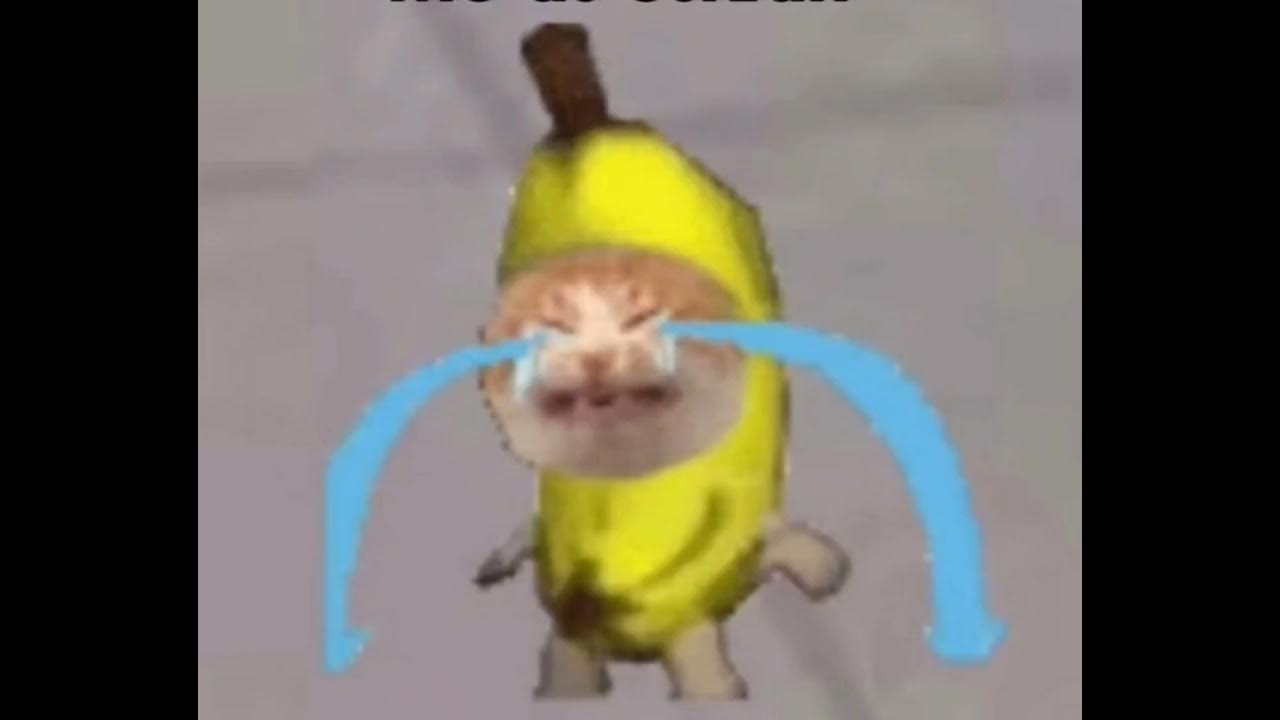 Banana Cat Crying Meme Template | sound effect - YouTube