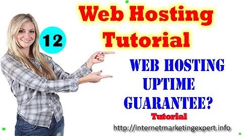 Web Hosting Tutorial For Beginners- Web Hosting Uptime Guarantee