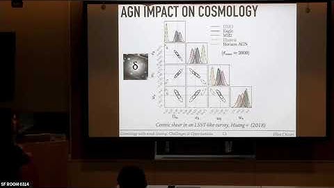 Elisa Chisari - Cosmology with weak gravitational lensing (February 20, 2019)