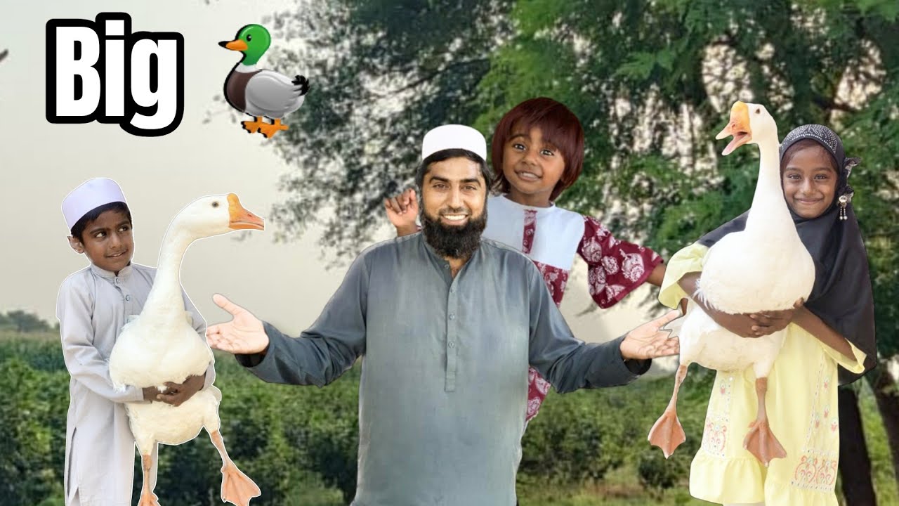 Buhat Bary Duck Agai Ghar | Arshad Vlogs 
