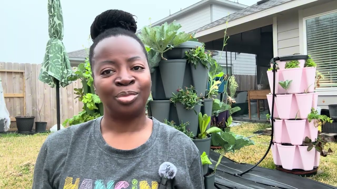 Hydroponic Plants in a GreenStalk – Left Unattended for 10 Days! What Happened?