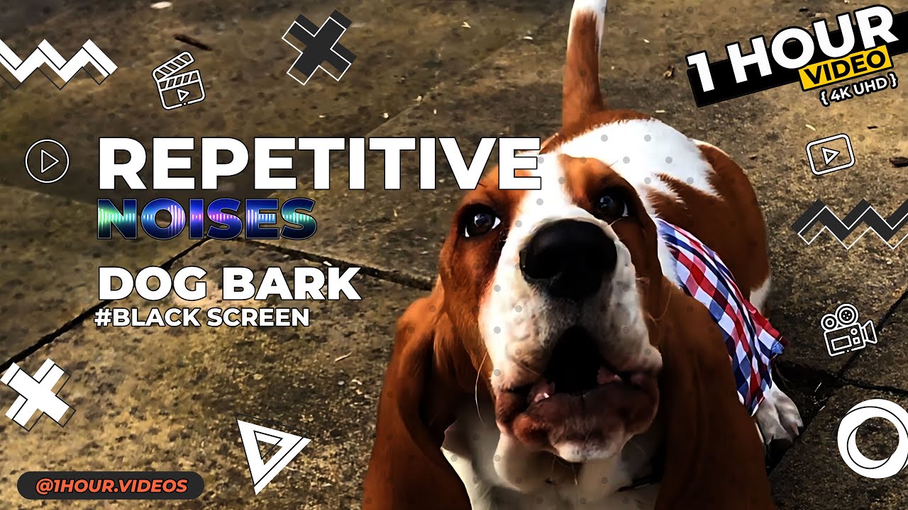Dog Bark - 1 Hour - 4k - Black Screen - Repetitive Noises/Sounds - YouTube