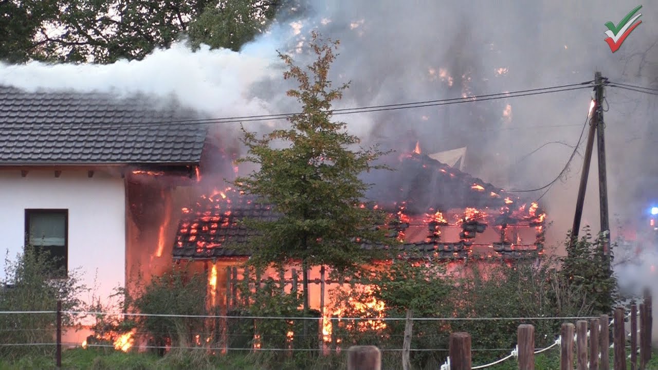 Масштабная эксплуатация в лесной зоне - барбекю в кафе «Галле» на костре
