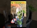 Top Amazing Facts About Food 🥑🥝 #healthyfood