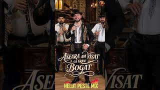Aseara am visat ca eram bogat - Nelut Peste Mix  #lautareasca #populara #etno #manele2026