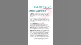 Mah Jongg: Clearing up Confusion Siamese Mah Jongg based on National Mah Jongg League: two player