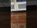 Bluetooth & HDMI ARC in Action: Bose Soundbar Test. #speakershopping #speaker #automobile