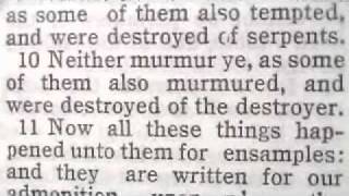 1025 1 Corinthians 10 Chronological Bible (Take Heed Lest You Fall) Profile