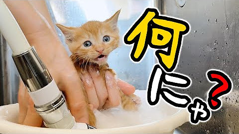 53期生★揚げたて「っ」（4）